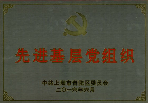 先进基层党组织16-6