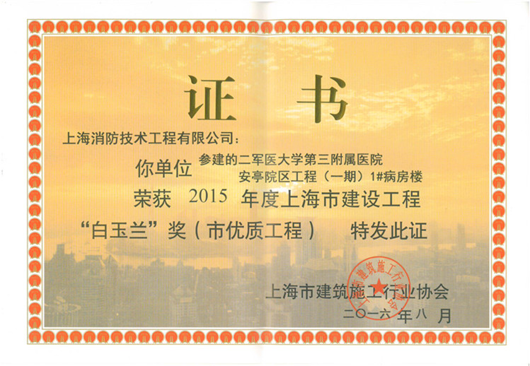 15年度白玉兰奖