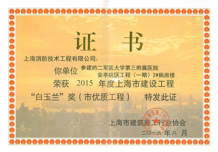 15年度白玉兰奖
